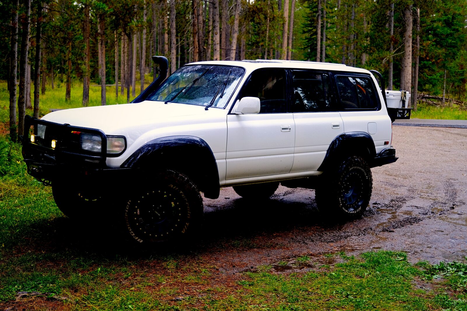 The '93 Land Cruiser parked in the pines in Yellowstone